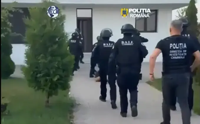 Canabis ascuns printre legume, într-o cultură outdoor la Lipova. DIICOT a ridicat 65 de kilograme de plante