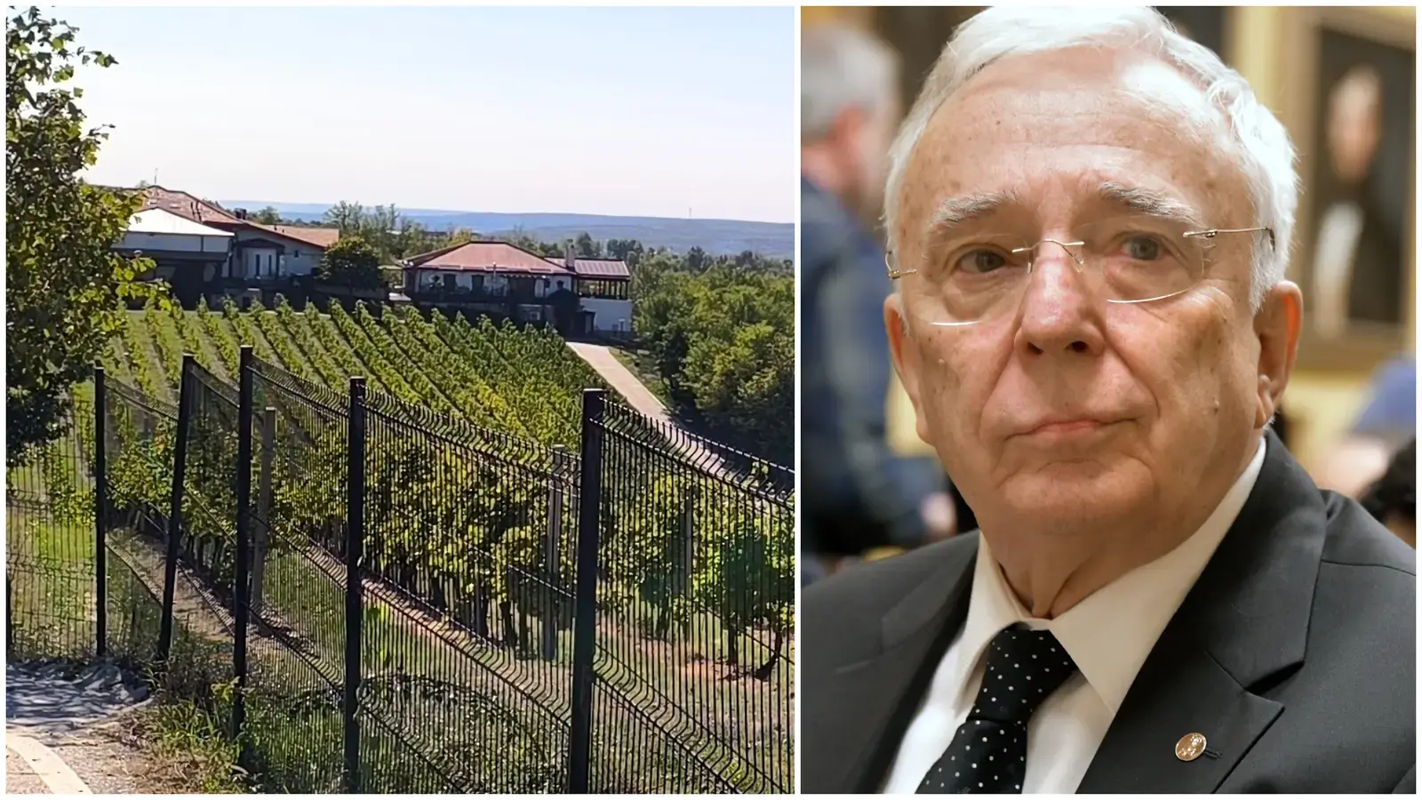 Firma de vinuri a lui Mugur Isărescu înregistrează venituri record, în ciuda scăderii leului