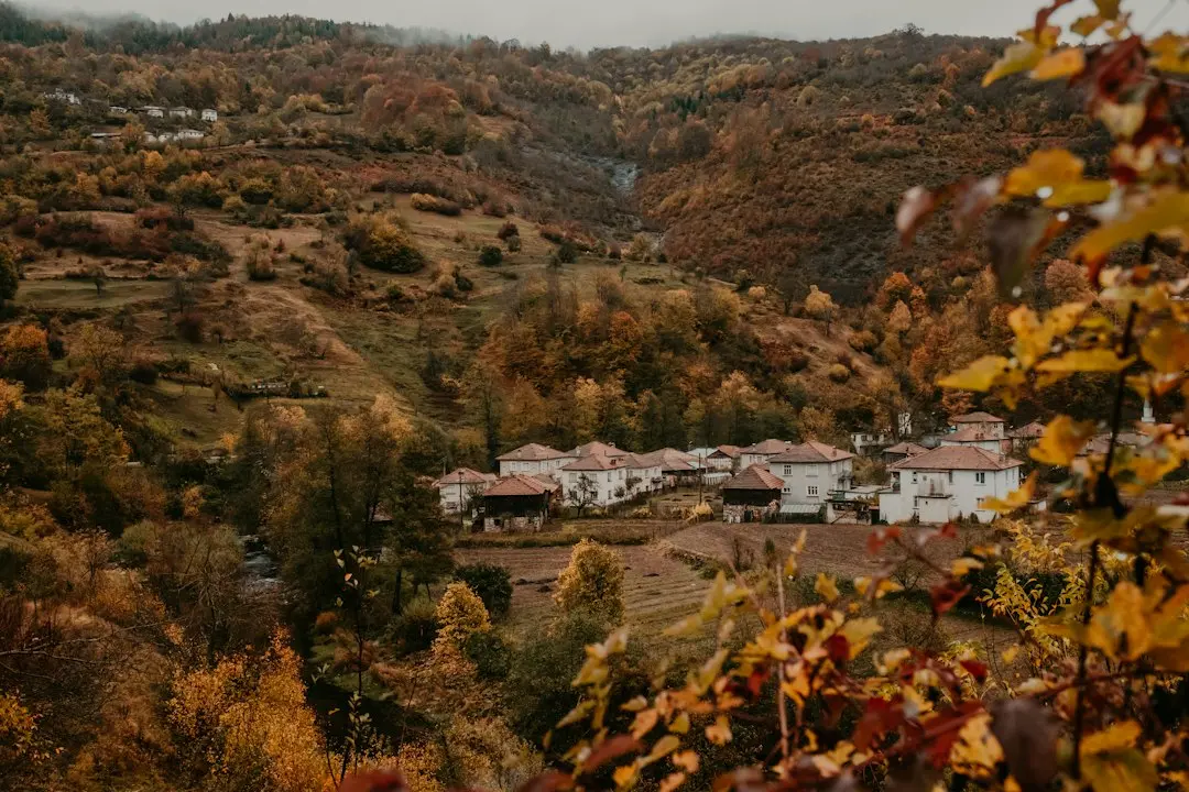 Echipa românească de la ING: contabilitatea de hedging
