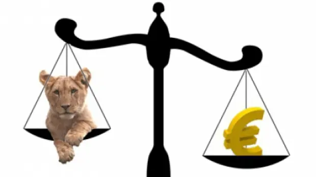 Leul la minim istoric: BNR fixează cursul la 5,2788 lei, euro bate recordul