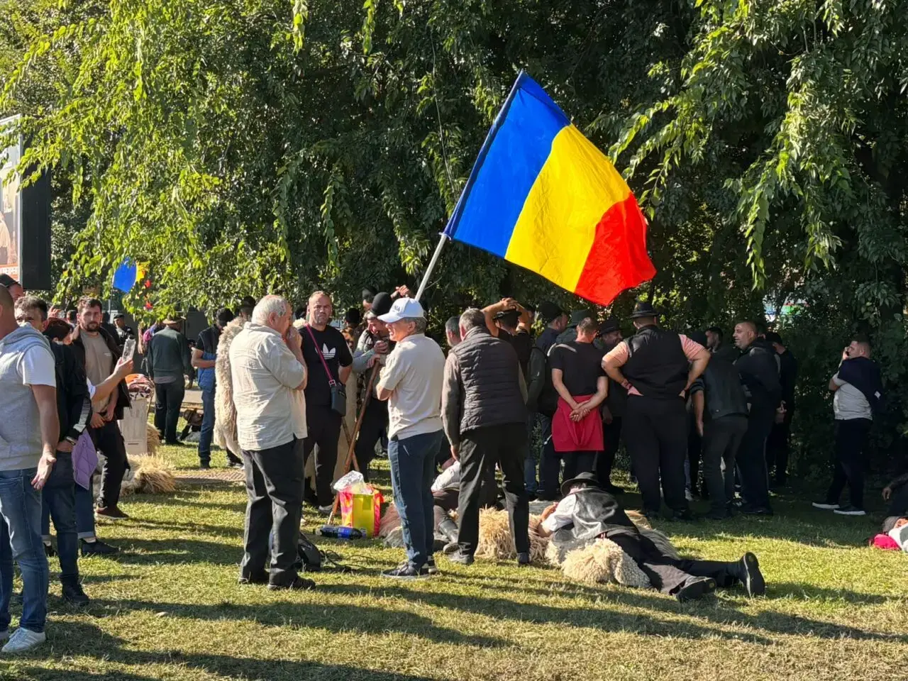 Protest al ciobanilor în Capitală pentru salvarea animalelor și reluarea exporturilor