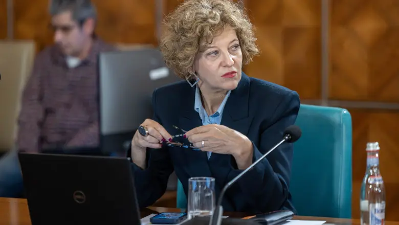 Condițiile PNL pentru susținerea Guvernului Niculescu